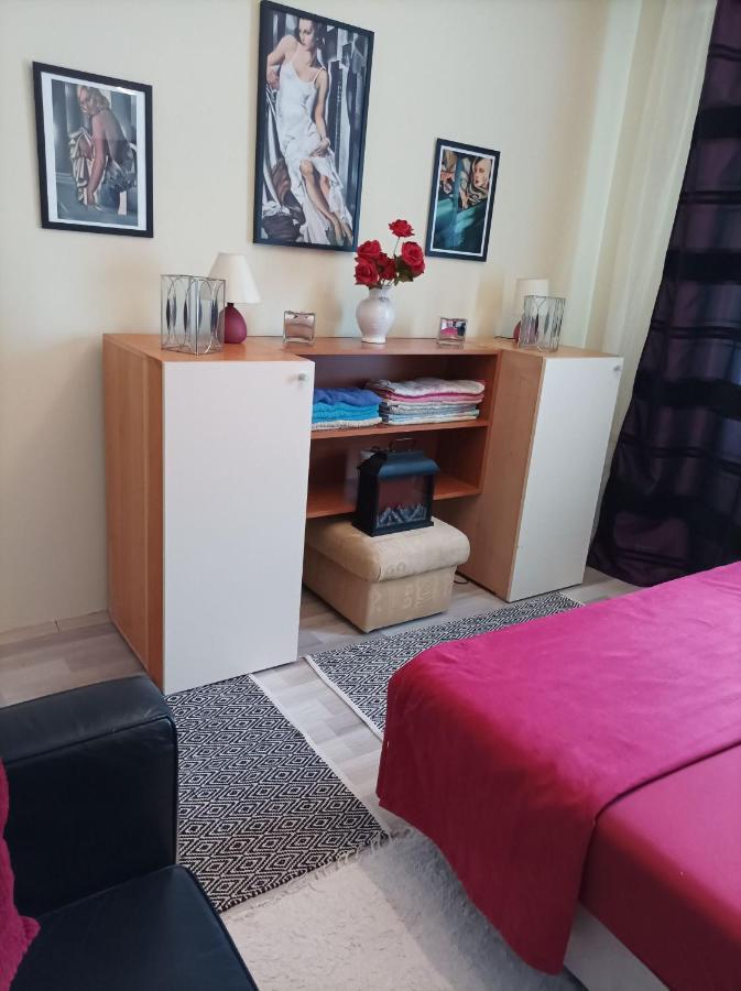 Panorama Apartment Near Szeged Plaza Εξωτερικό φωτογραφία
