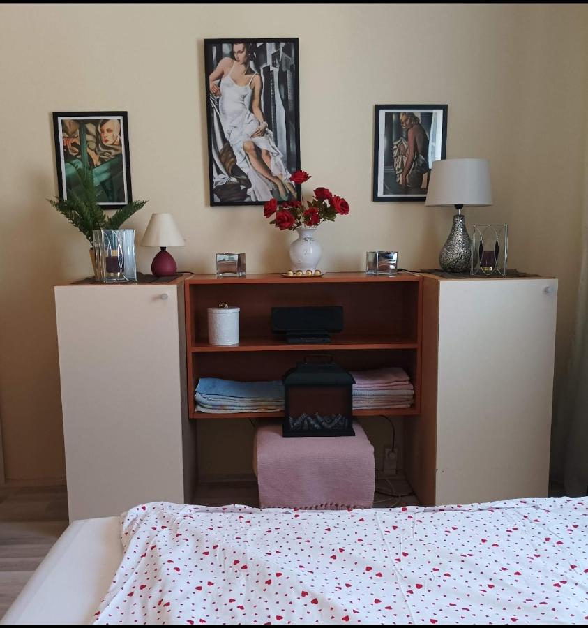 Panorama Apartment Near Szeged Plaza Εξωτερικό φωτογραφία